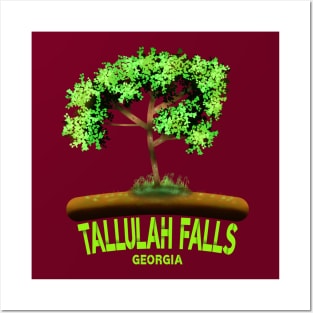 Tallulah Falls Georgia Posters and Art